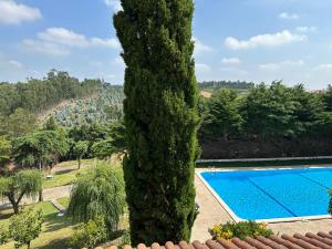 un árbol grande junto a una piscina en Quinta dos Encantos "Entire Villa" en Pêro Moniz