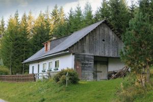 un antiguo granero sentado en una colina de hierba en Brandner Almhütte en Schoberegg