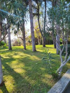 a park with trees and a grass field at Casa Le Vele in Bordighera
