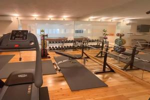 une salle de sport avec un tapis de course et de nombreux équipements dans l'établissement Villa Zacaluca Pool Whirlpool Sauna & Gym, à Marbella