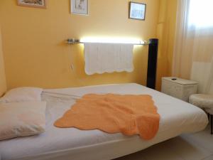 een bed met een oranje deken erop in een kamer bij Vue superbe sur la Belle Bleue avec 2 chambres in Saint-Cyprien