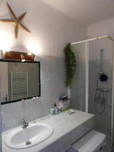 een badkamer met een wastafel, een douche en een spiegel bij Vue superbe sur la Belle Bleue avec 2 chambres in Saint-Cyprien