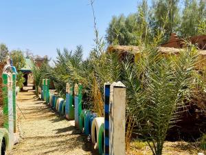 Zahrada ubytování Auberge L'Oasis Mhamid
