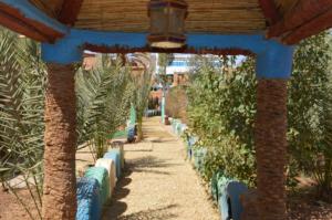 Zahrada ubytování Auberge L'Oasis Mhamid