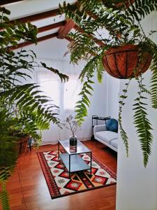 a living room with a table and some plants at Villa Tahoyo - Disfruta con la familia en un entorno tranquilo in Máguez