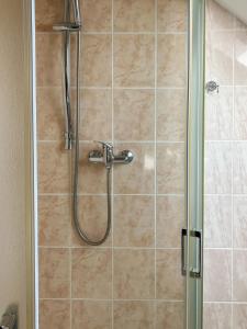 La salle de bains est pourvue d'une douche avec une porte en verre. dans l'établissement Penzion Na Stavidle, à Uherské Hradiště