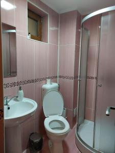 een badkamer met een toilet, een wastafel en een douche bij Vila Foc Alb Apartamente-Busteni in Buşteni
