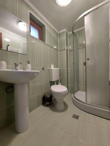een badkamer met een toilet, een wastafel en een douche bij Vila Foc Alb Apartamente-Busteni in Buşteni