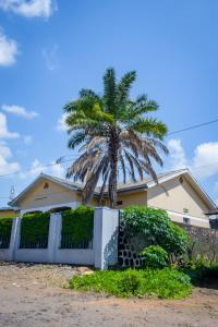 a palm tree in front of a house at Rhoja homes in Ruhengeri