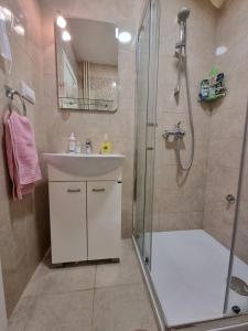 La salle de bains est pourvue d'une douche, d'un lavabo et d'une cabine de douche en verre. dans l'établissement Bulevar NS - Stan u blizini železnike stanice i Sajma, à Novi Sad