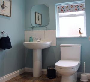 a bathroom with a sink and a toilet at The Hideaway Brongest in Troedyraur