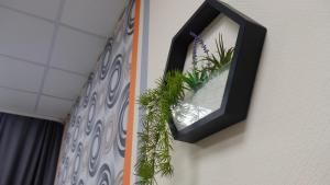 un espejo en una pared con una planta. en Uneed Rooms M1 en Kiev