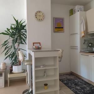 a kitchen with a table and a plant and a clock at VJEKA HOME in Ploče