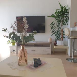 TV a/nebo společenská místnost v ubytování VJEKA HOME