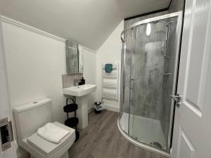 a bathroom with a shower and a toilet and a sink at Ashbrook Stert St 5 bedroom property in Abingdon