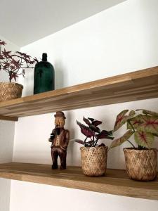 una estantería de madera con plantas y una figura en ella en Moderne lejlighed i hjertet af Odense C en Odense