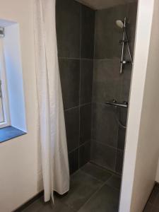 y baño con ducha y cortina de ducha. en Ringkøbing Fjord B&B en Skjern