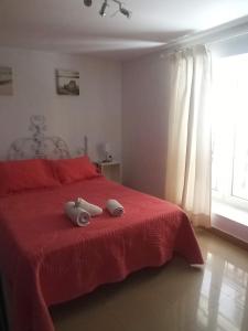 カディスにあるDuplex Cadiz Centroのベッドルーム1室(赤いベッド1台、枕2つ付)