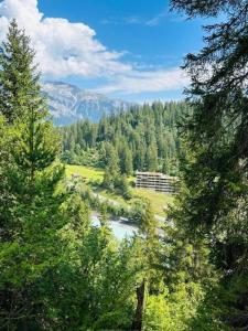 a river in the middle of a field with trees at Exklusive Ferienwohnung im Hotel mit Wellness in Laax
