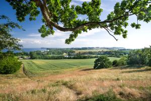 Blick auf ein Feld von einem Baum in der Unterkunft Bungalow Oase der Ruhe in Lobbe