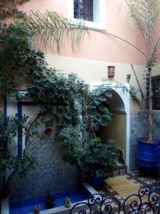 Un bâtiment avec une bande de plantes devant lui dans l'établissement Riad Jakoura, à Marrakech