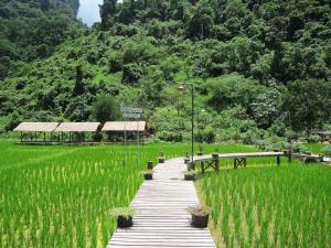 a wooden walkway through a field of green grass at Vang Vieng Sky Mountain View Hotel in Vang Vieng