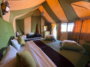 Postel nebo postele na pokoji v ubytování Roses desert camp