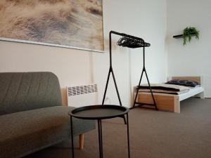 Posezení v ubytování Apartmán Nepomuk