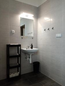 a bathroom with a sink and a mirror at Apartmán Nepomuk in Nepomuk