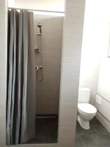 a bathroom with a toilet and a shower with a shower curtain at Apartmán Nepomuk in Nepomuk