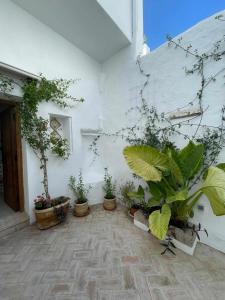 une cour avec des plantes en pot sur un mur blanc dans l'établissement AntiQua centro de Vejer con wifi Grupo AC Gestion, à Vejer de la Frontera