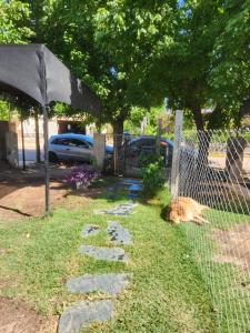 a dog laying in the grass next to a fence at Tierra Santa Estadia 1 in Villa Cura Brochero
