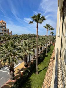 rząd palm obok budynku w obiekcie Apartamento Deluxe Vistas Laterales al Mar w mieście Isla Canela