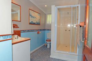 La salle de bains est pourvue d'une douche et de toilettes. dans l'établissement Mkomazana Mountain Cottages, à Himeville
