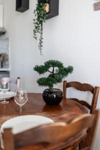a bonsai tree sitting on top of a wooden table at Le dominant Toulousain in Toulouse