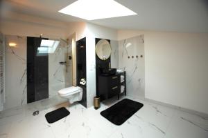 Boardinghouse Schongau في سشونغاو: حمام مع مرحاض ومغسلة ومرآة