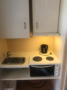 uma pequena cozinha com um fogão e um lavatório em Setesdal Motel & Apartments em Bygland