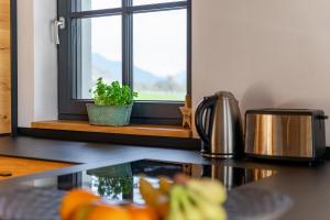 una encimera de cocina con una ventana con una maceta en Chalet Edelweiss en Niedernsill