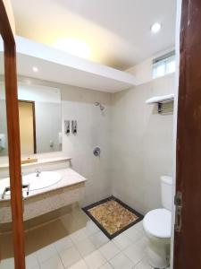 een badkamer met een wastafel, een toilet en een spiegel bij Hotel Catur Putra in Magelang
