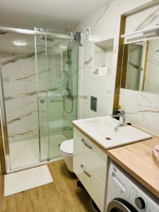 La salle de bains est pourvue d'une douche, d'un lavabo et de toilettes. dans l'établissement Fredry 15F, à Cracovie