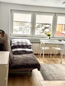 a living room with a table and two windows at Fredry 15F in Krakow