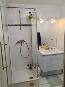 La salle de bains est pourvue d'une douche et d'un lavabo. dans l'établissement Sublime appartement climatisé proche Orly pour 8 personnes, à Vigneux-sur-Seine
