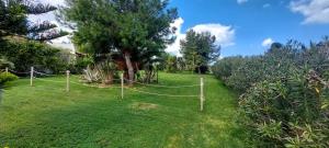 una cerca de cuerda en un campo con un árbol en Il giardino di Ercole, en San Pietro Vernotico