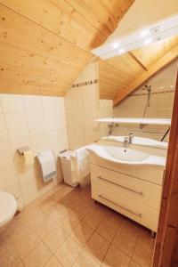 uma casa de banho com um lavatório e um WC em Woody Park Chalet 14 em Kaindorf
