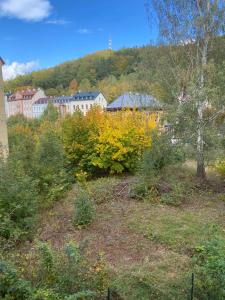 a group of bushes and trees with buildings in the background at ApartmentsCarlsbad in Karlovy Vary
