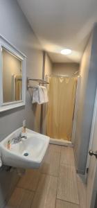 y baño con lavabo y ducha. en Budget Inn Horseheads, en Horseheads