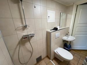 a bathroom with a shower and a toilet and a sink at Bakkebo Trollstigen in Åndalsnes