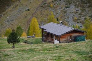 Sertig Döfli的住宿－Zauberberg in voller Pracht，山地中的小木屋