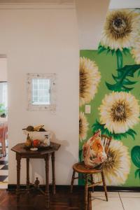 Gallery image of Hadens Guesthouse in Nelspruit +75 photos