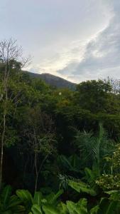 a view of a forest of trees with mountains in the background at Casa Quaresmeira in Palmeiras